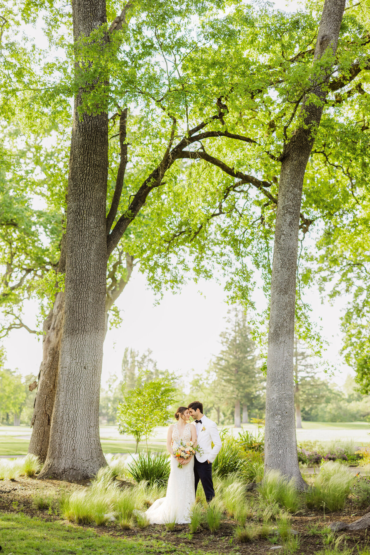 Gallery  - Napa Valley - Danielle & Gianluca_danielle_gianluca_napa_wedding_photos-142