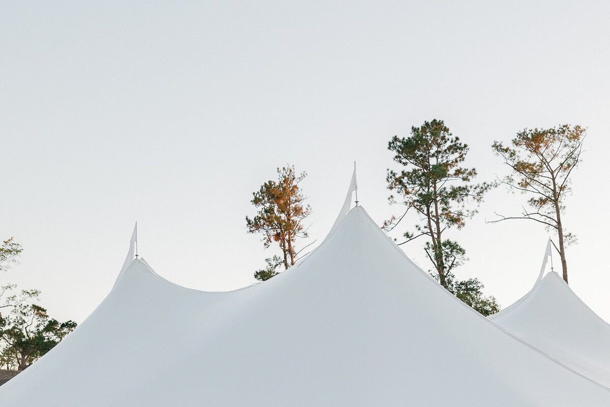 MauraDavidson_Emily+Duncan-8815