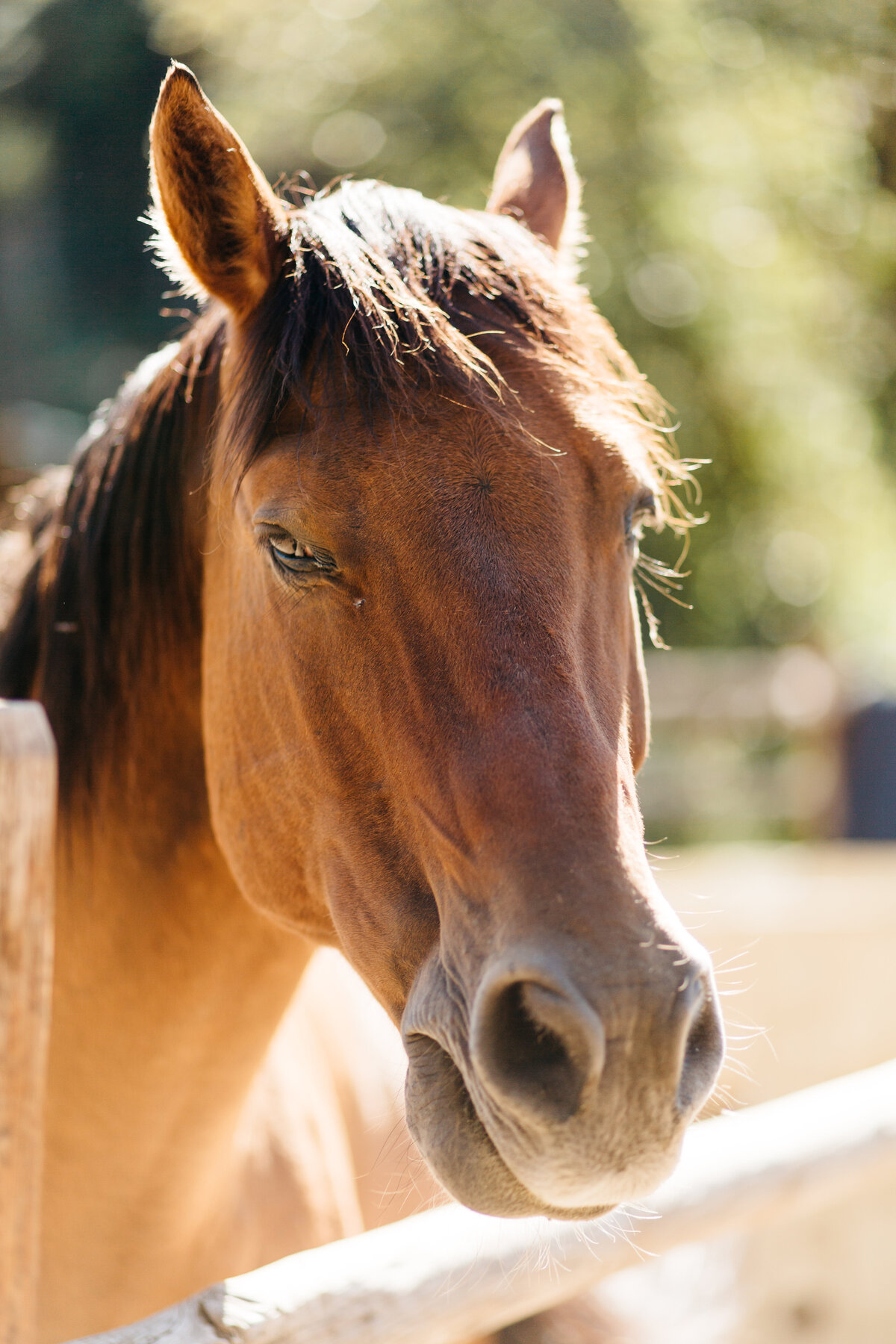 catie-coyle-photography-8