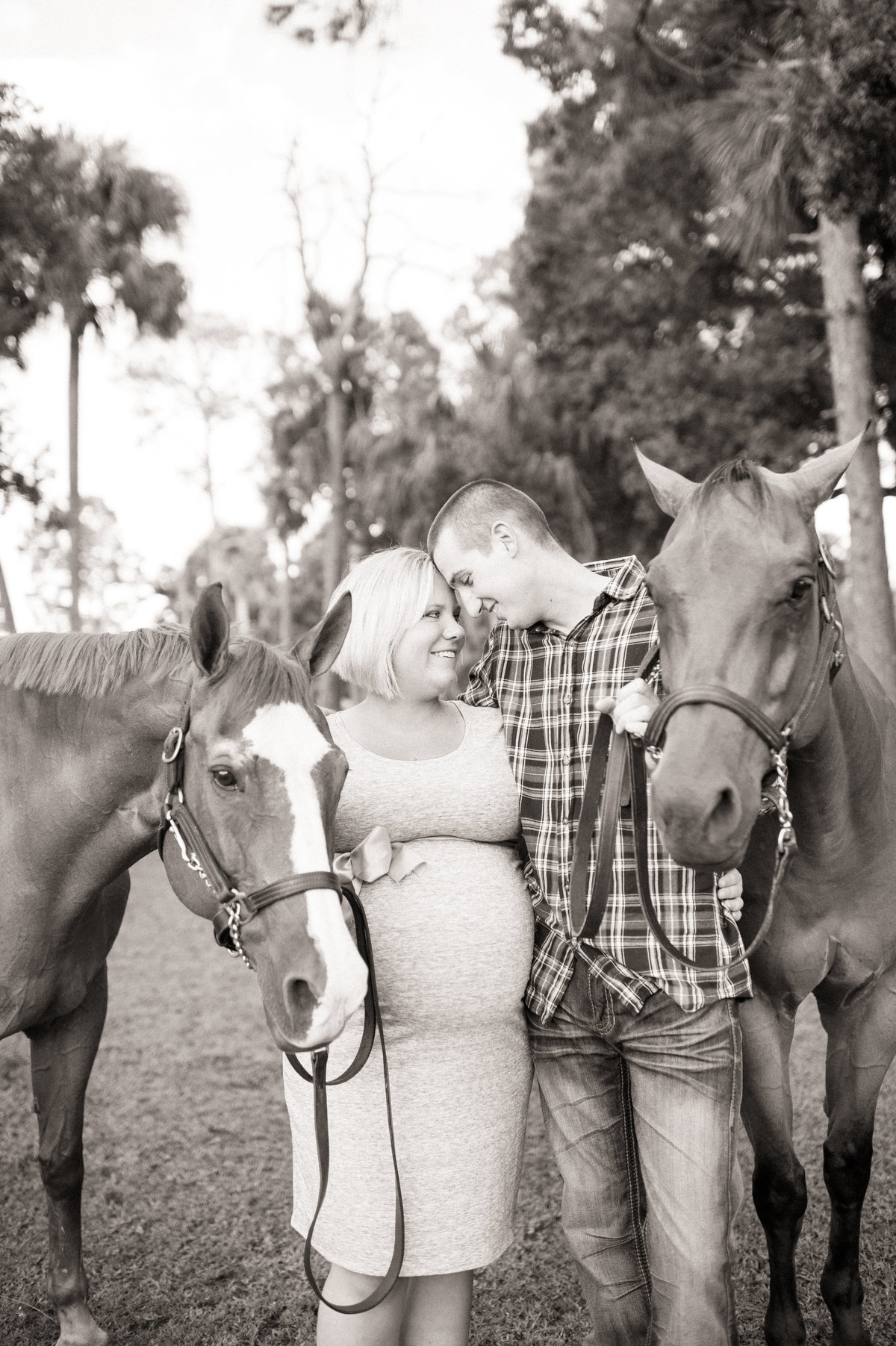 Port Orange equestrian photography