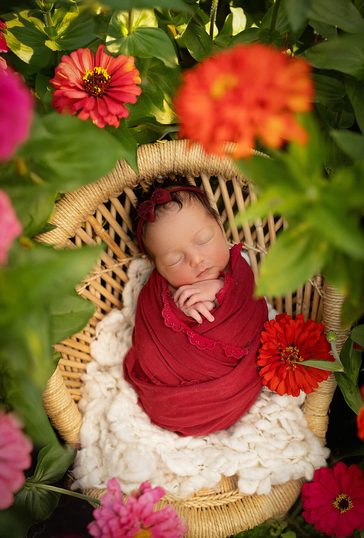 mansfield-ohio-newborn-photographer