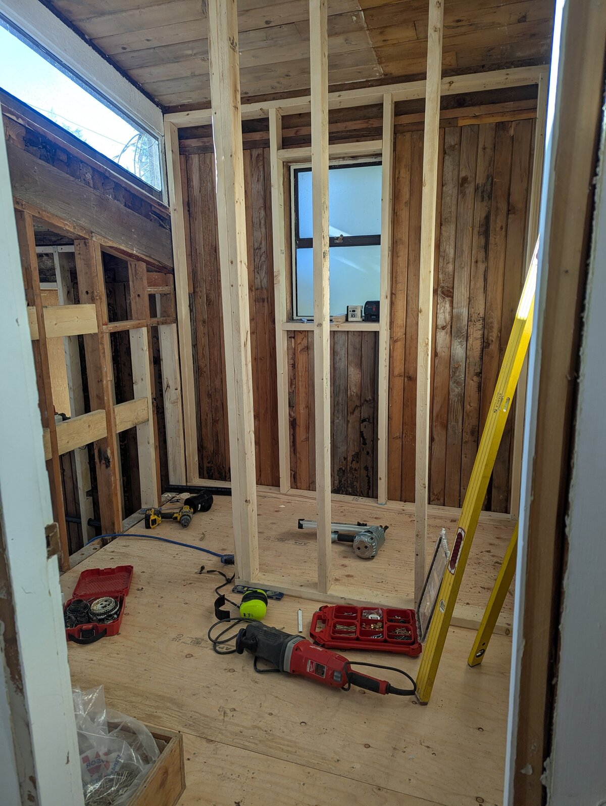 PXL_20250128_201116607