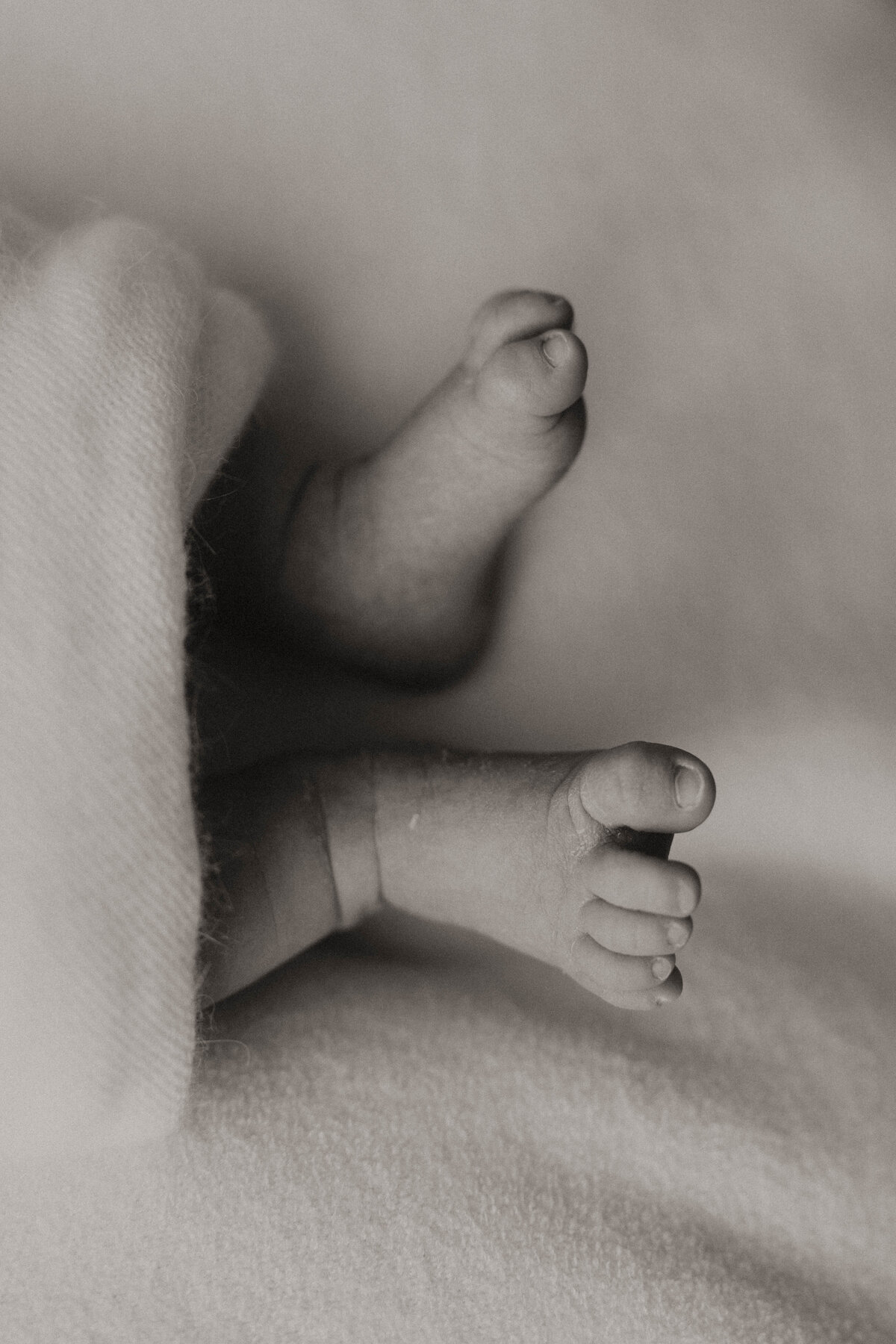 MILLIE_NEWBORN-2410
