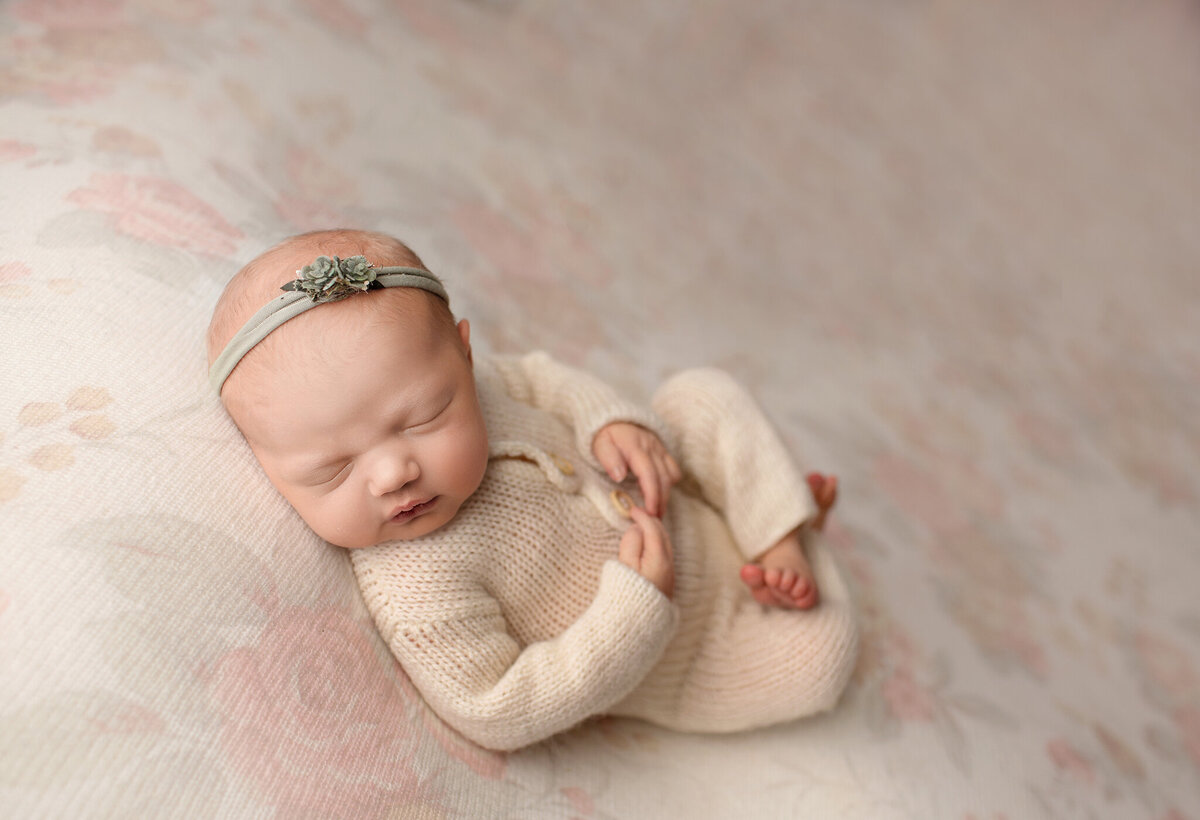 posed newborn photos denver