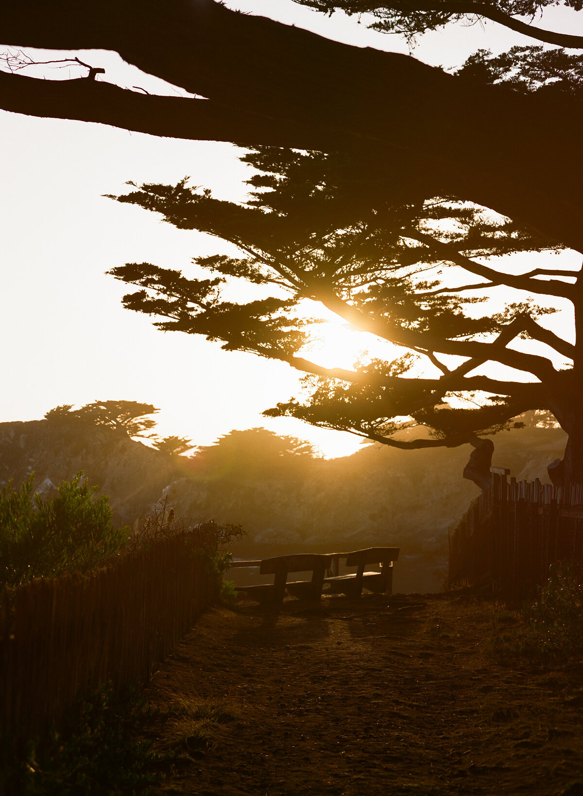 DT-2025-Kelcie&StevenPreview-90