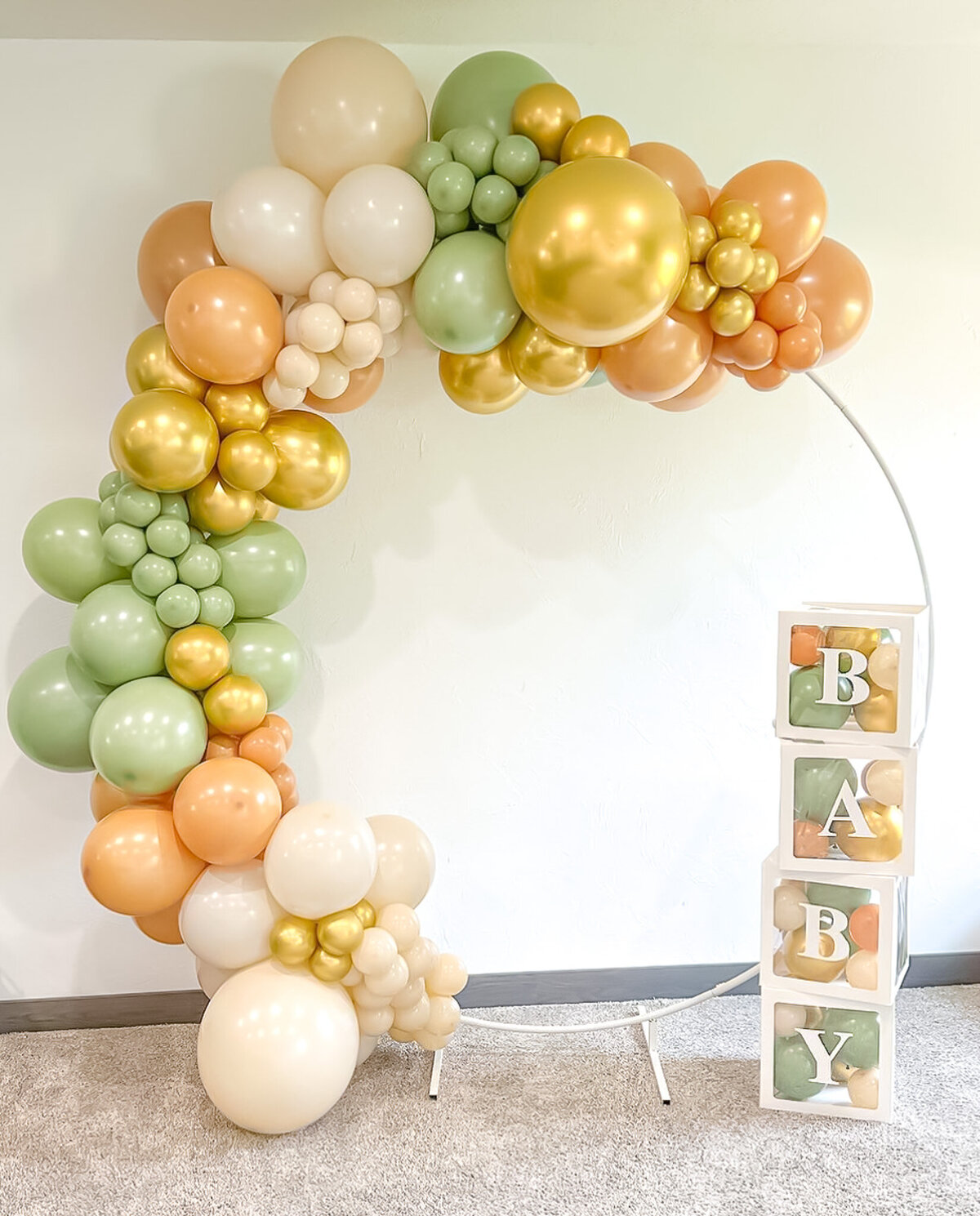 balloons-bismarck-nd-37