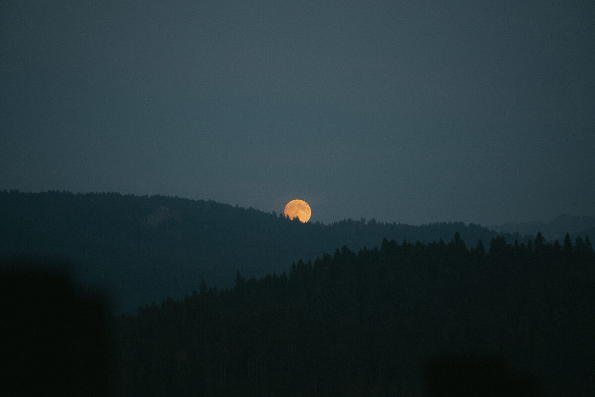 McCall-Idaho-Summer-Wedding-The-Forrester_s-2025-140