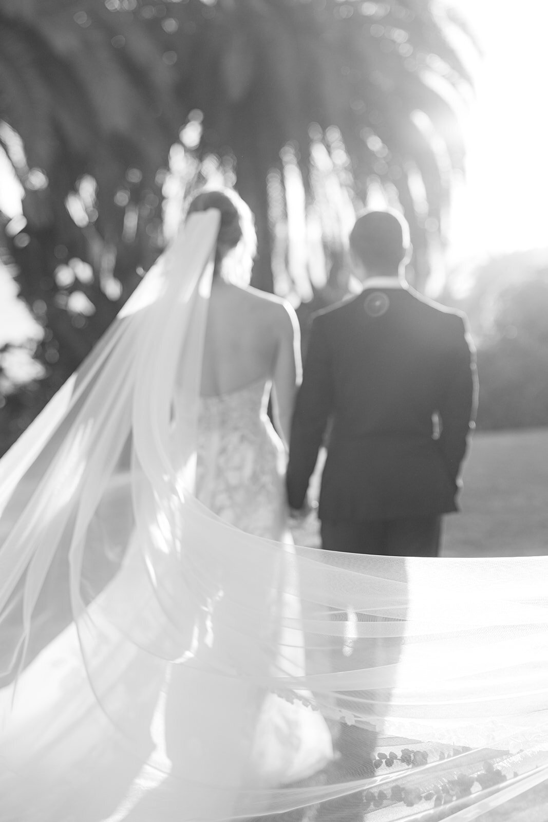 Brookeboroughphotography_chrisandlaurenwedding-16026