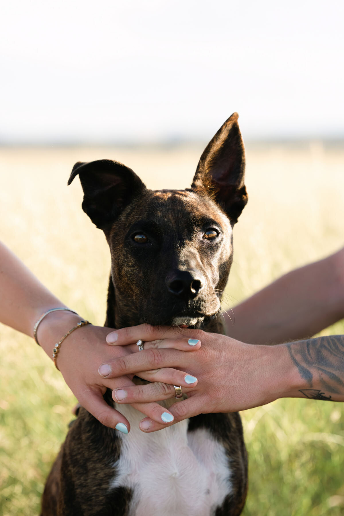 Tucson engagement photographer image in open desert field