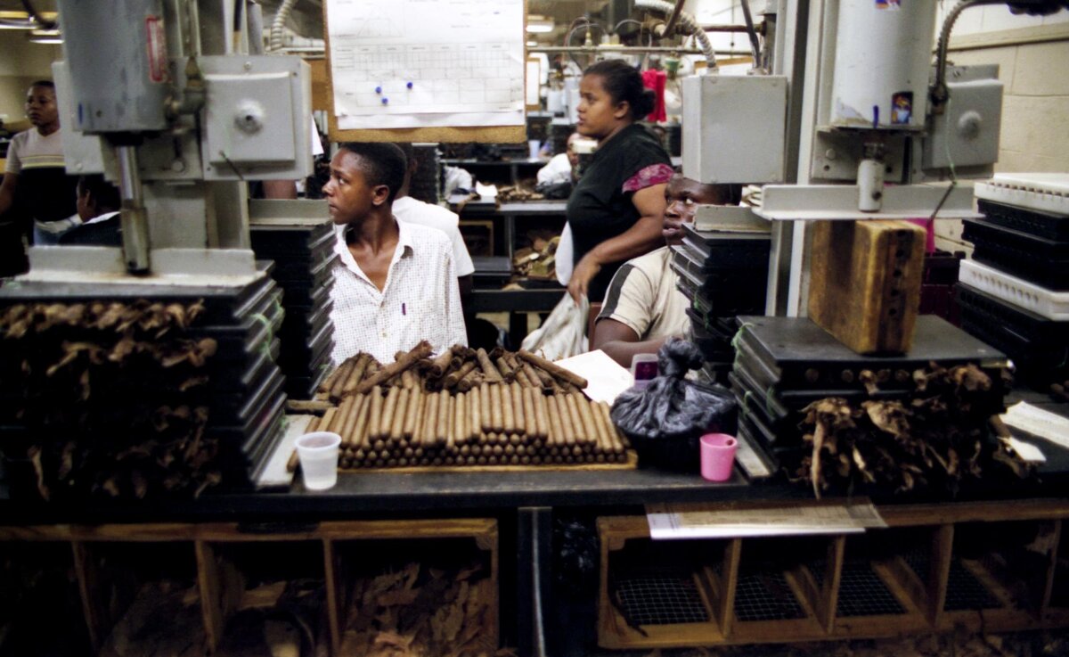 Man presses tobacco leaves at factory in La Romana DR