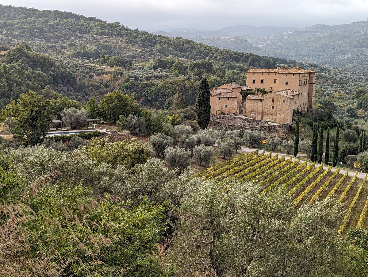 PXL_20231024_081754340 (2)