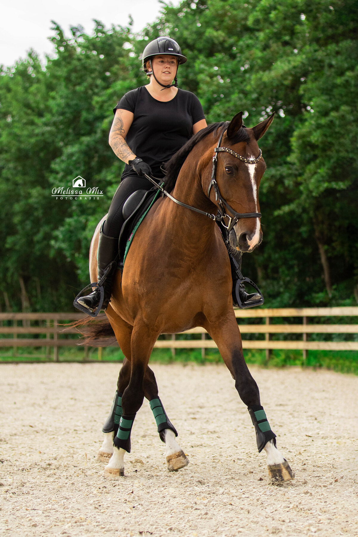 melissamixfotografie_dressage1.1web