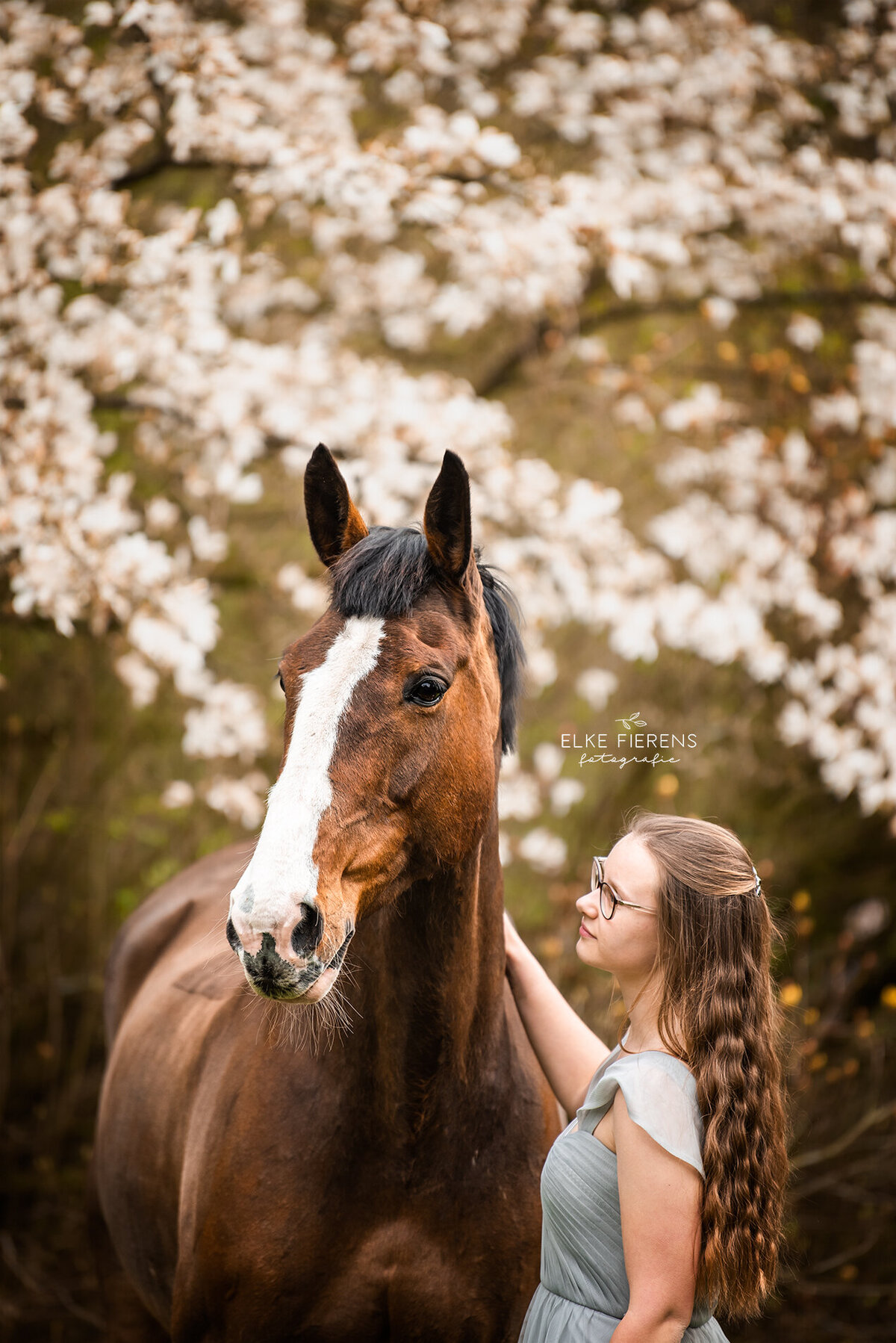 paardenfotograaf - bloesemfoto's - paardenmeisje