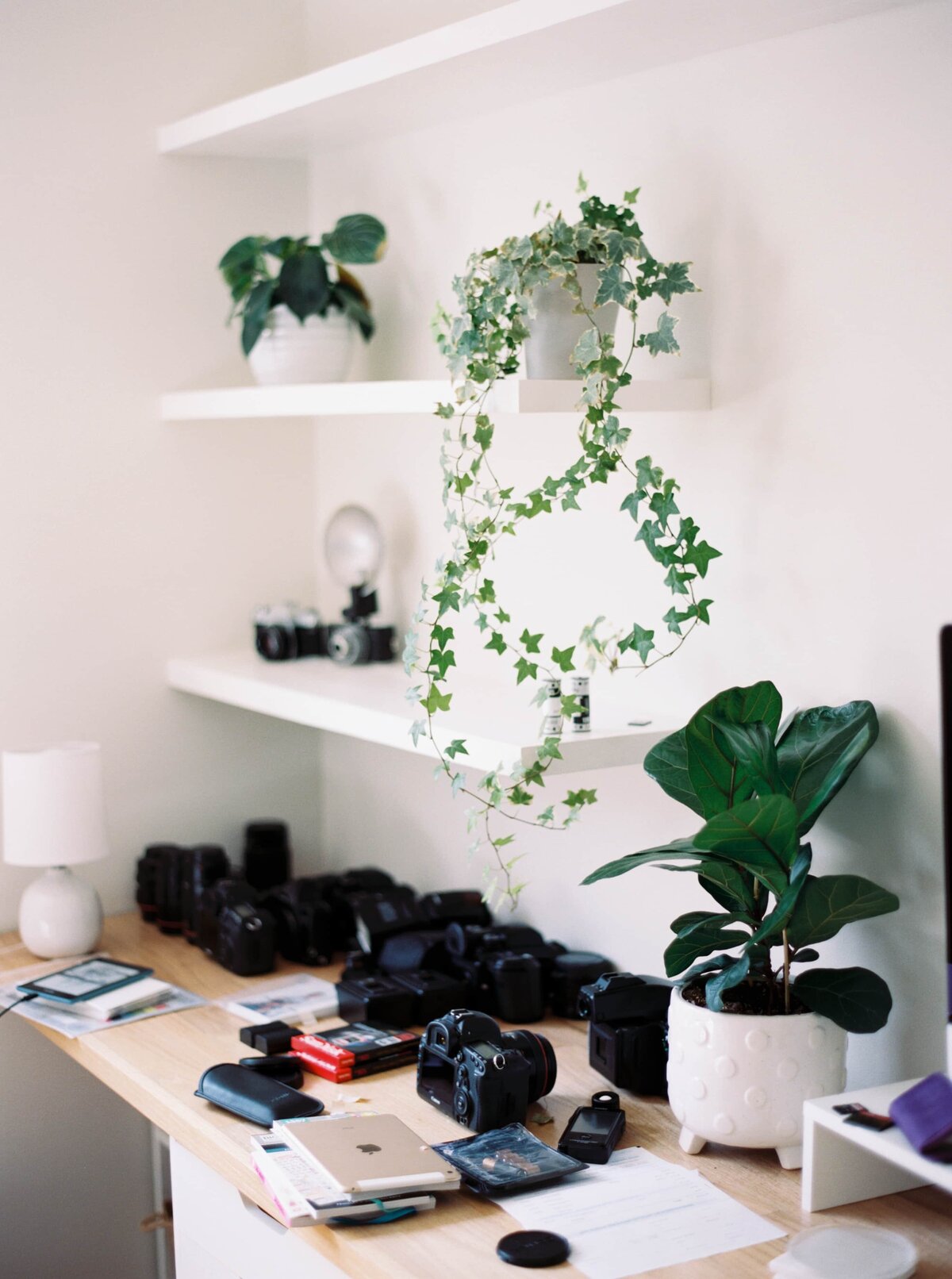 Image of an office desk with cameras strewn on the desk and plants on the shelves of a white room.