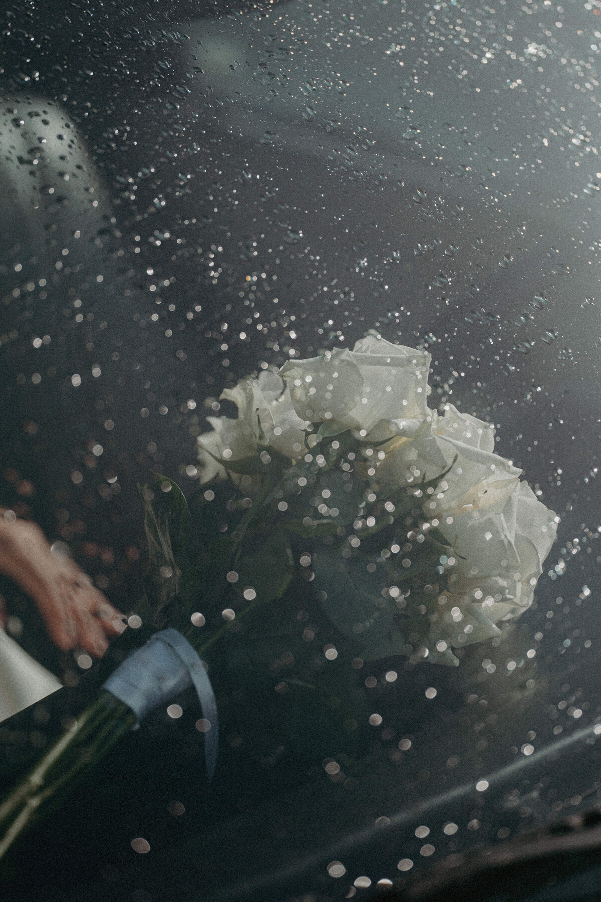 _Preview-112