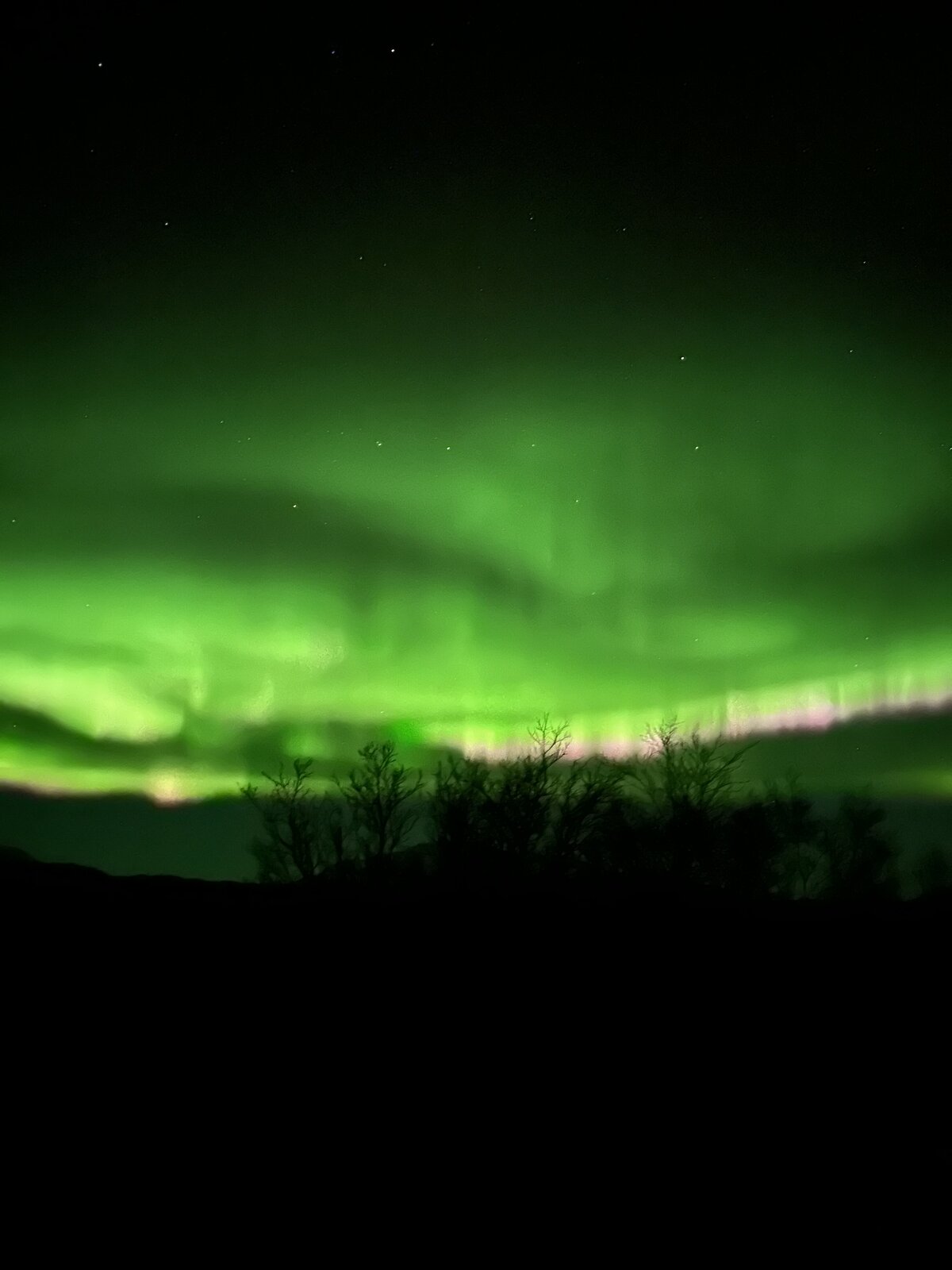 iceland1