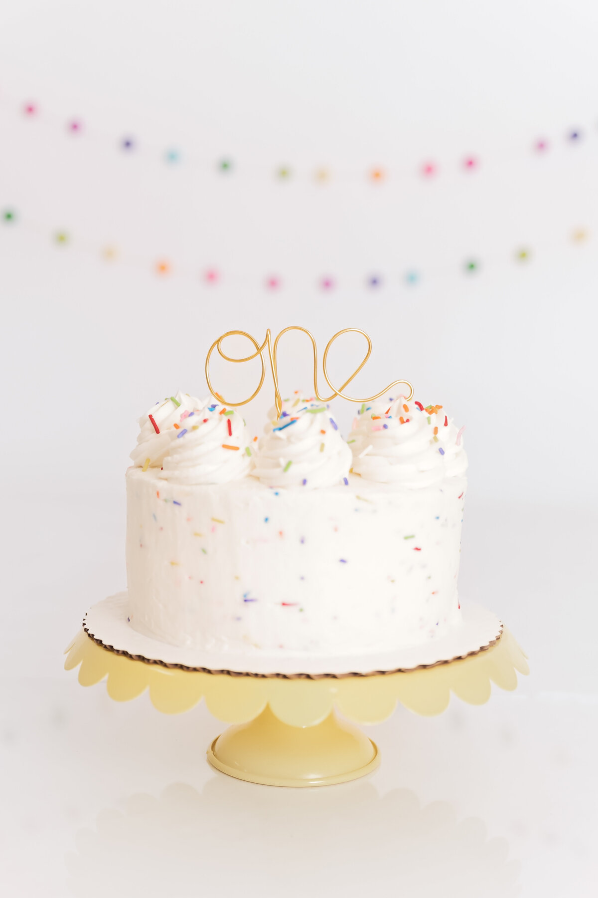 Cassie-And-Frances-Children-Cakesmash-Photographer-Columbia-St.Louis