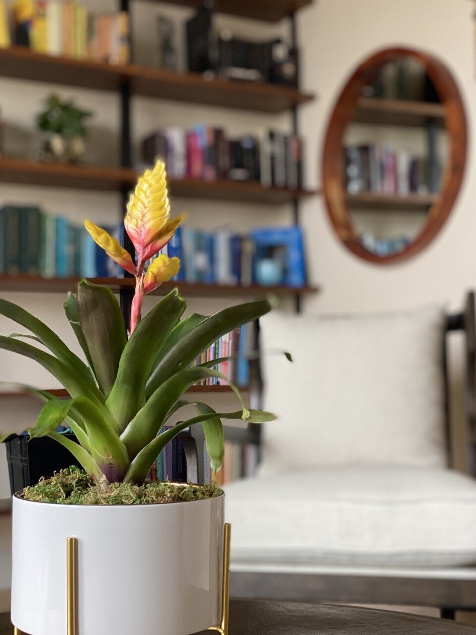 West Portal San Francisco Interior Design 3