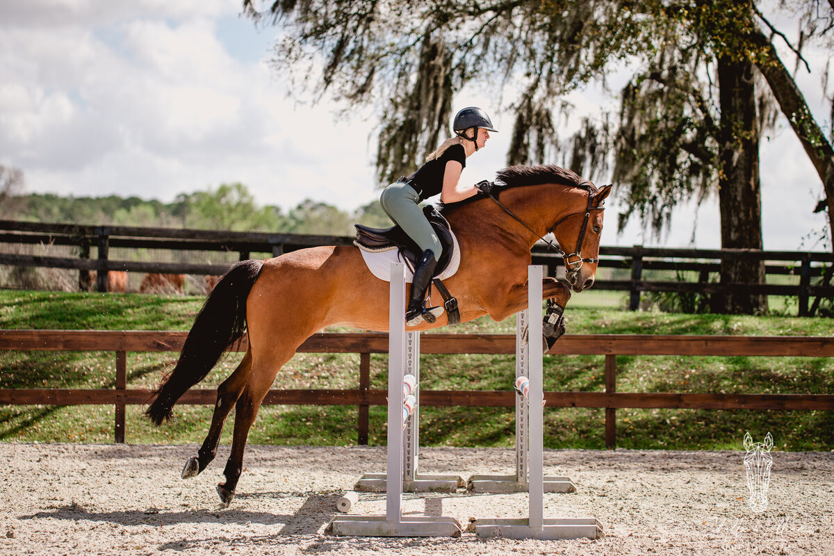 Jumper photographer takes pictures in Ocala FL at horse barn.