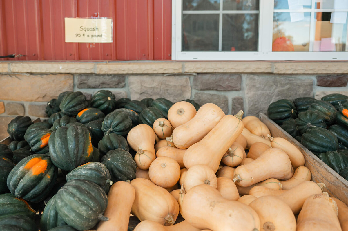 Oakwood-Fruit-Farm-Apple-Orchard-Richland-Center-Wisconsin-26