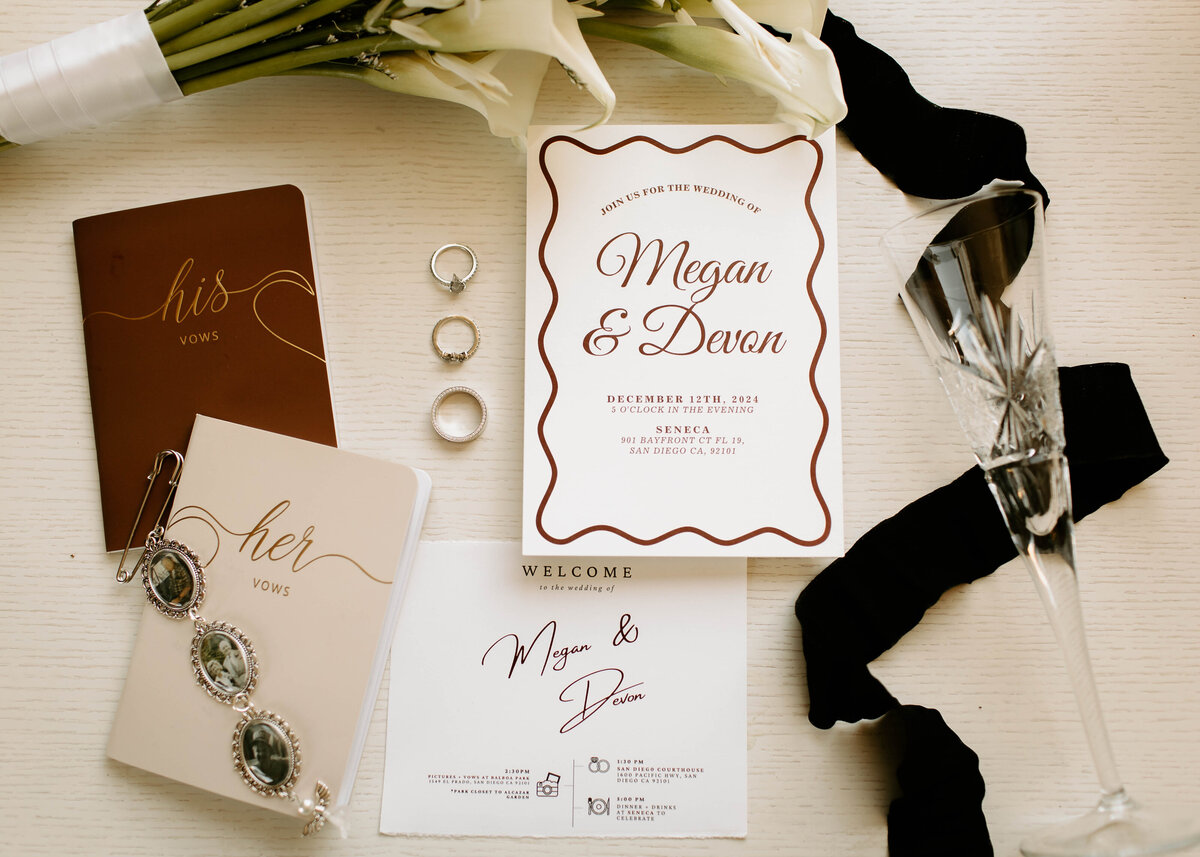 2258San_Diego_Courthouse_elopement_m&d