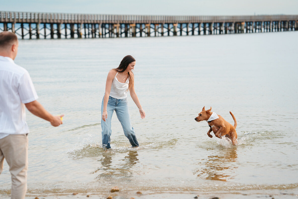 Romantic Duxbury Beach engagement portraits including playful shots with the couple’s dog