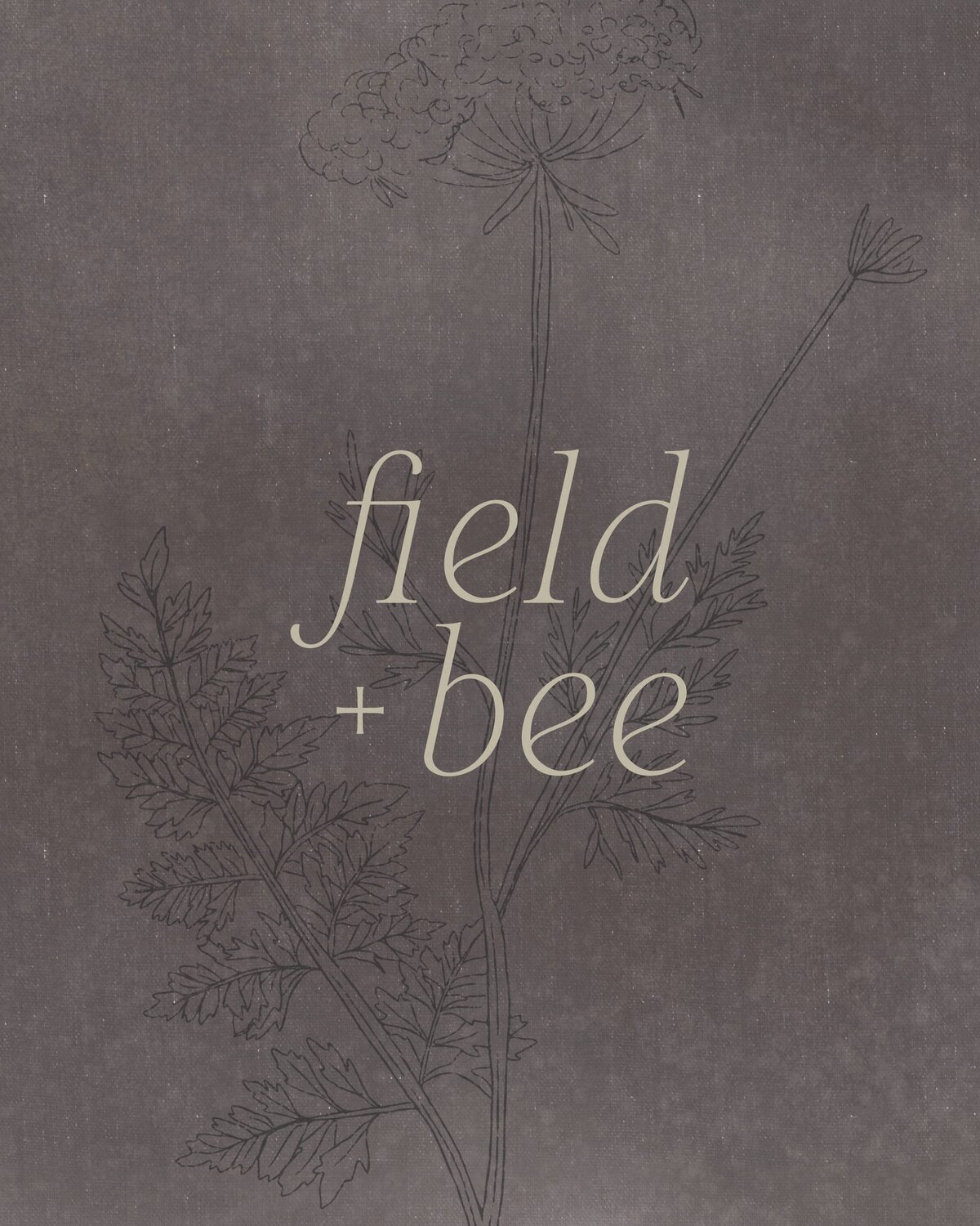 Field+Bee_LaunchGraphics_Instagram20