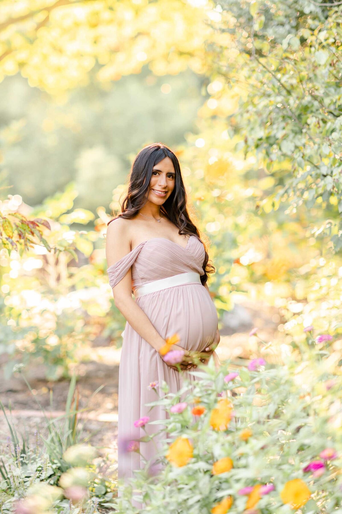 Maternity Photographer Arlington Va - Heidi Fam Photography