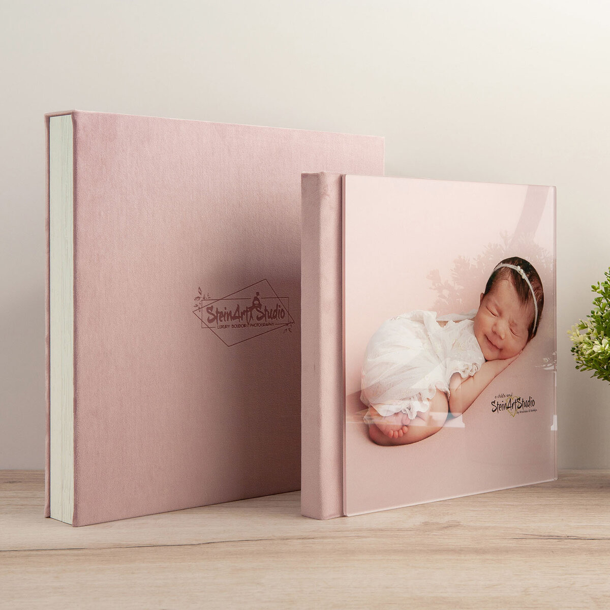 steinart-studios-product-album-image-2024