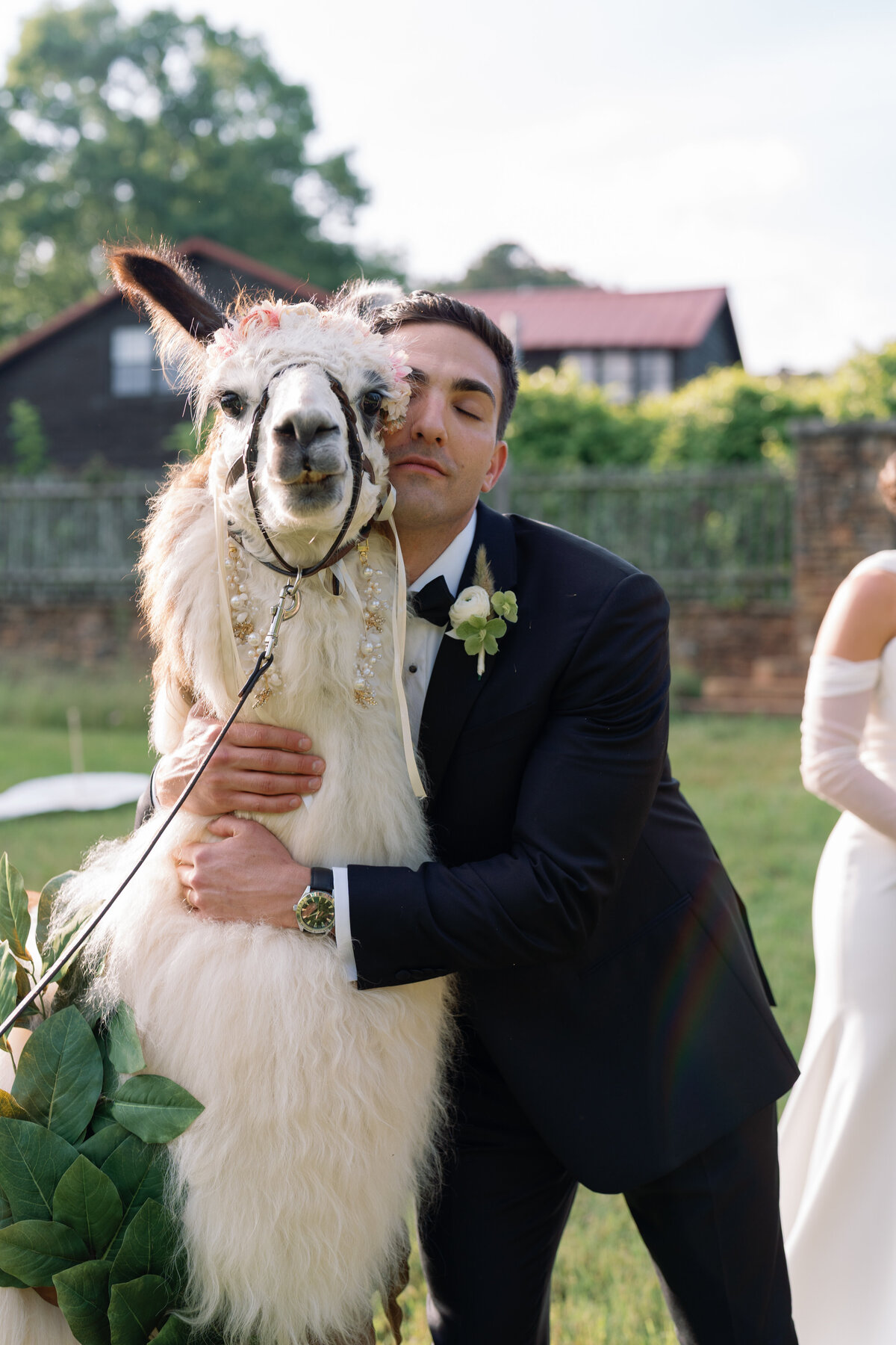 Rachel-Pourchier-Photography-Wedding-Serenbe-destination-photographer_Rubin_Horse134