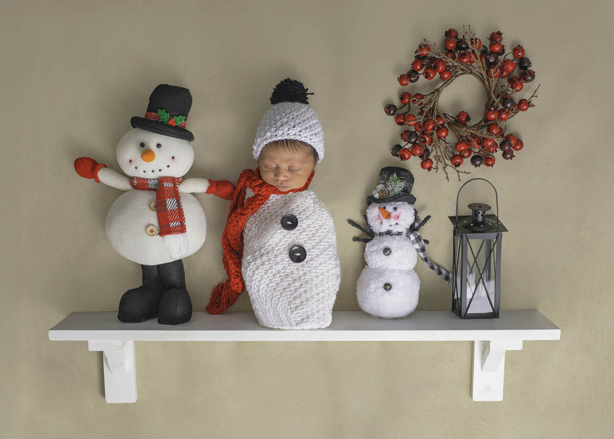 bay-area-newborn-photographer