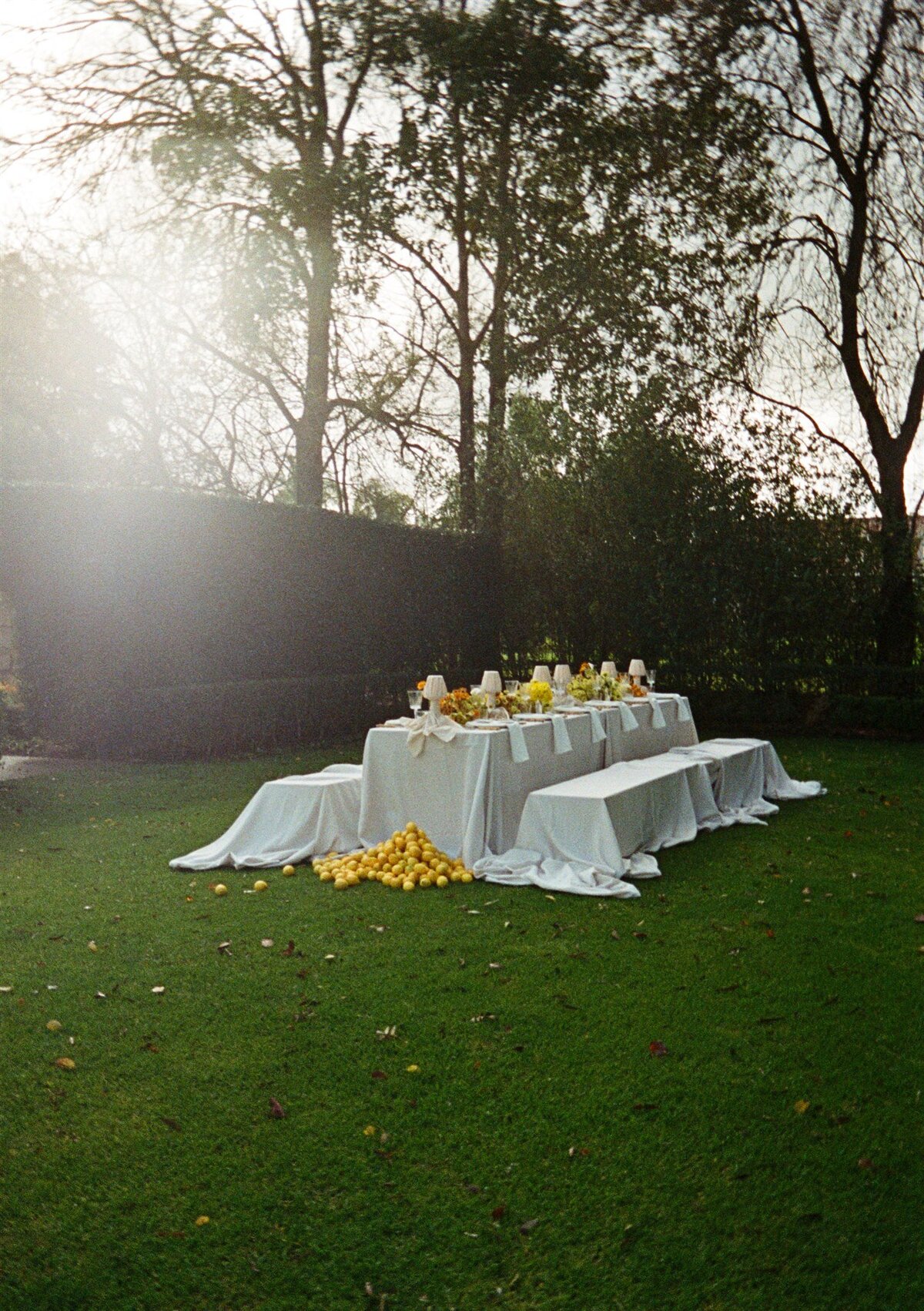 35mm Film KY-3