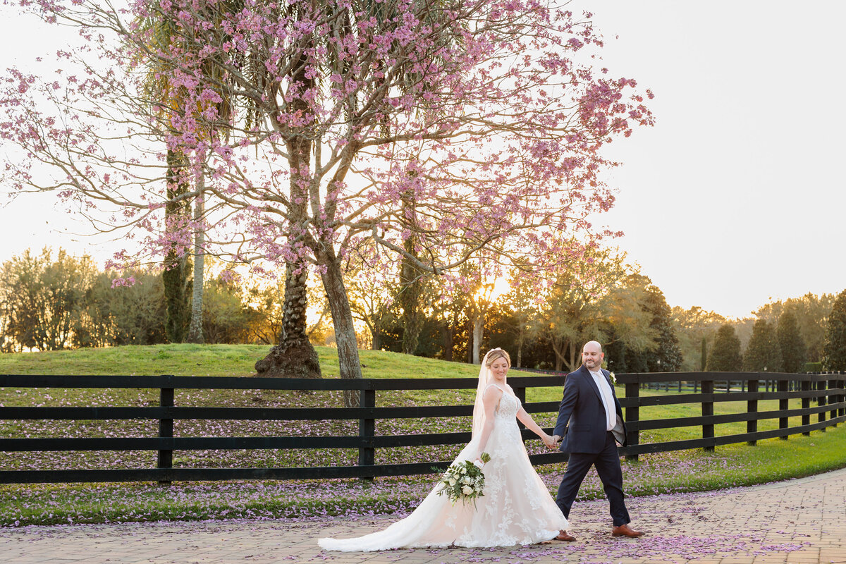 Dominguez Wedding Highlights-71