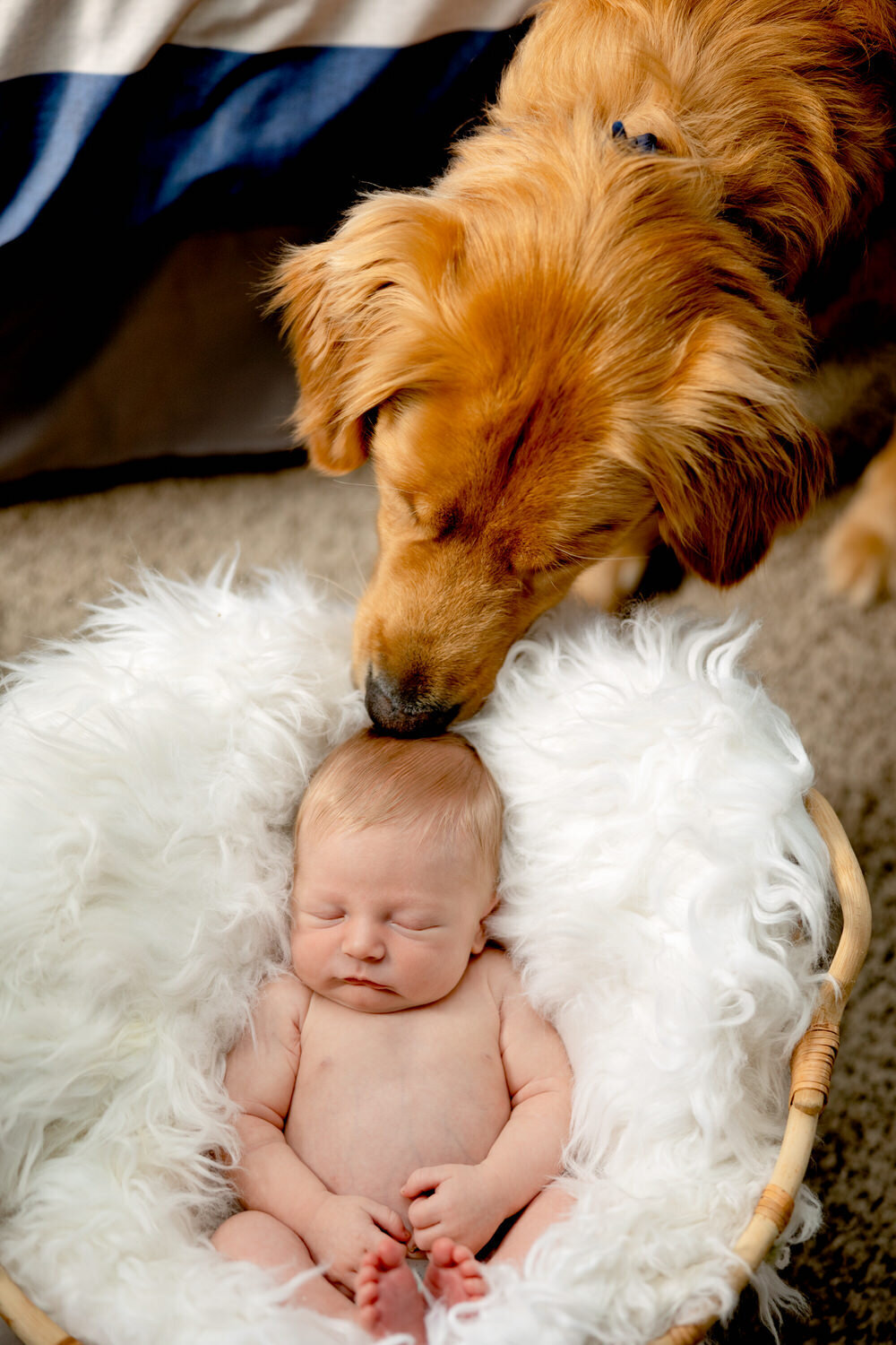Newborn_ND_032