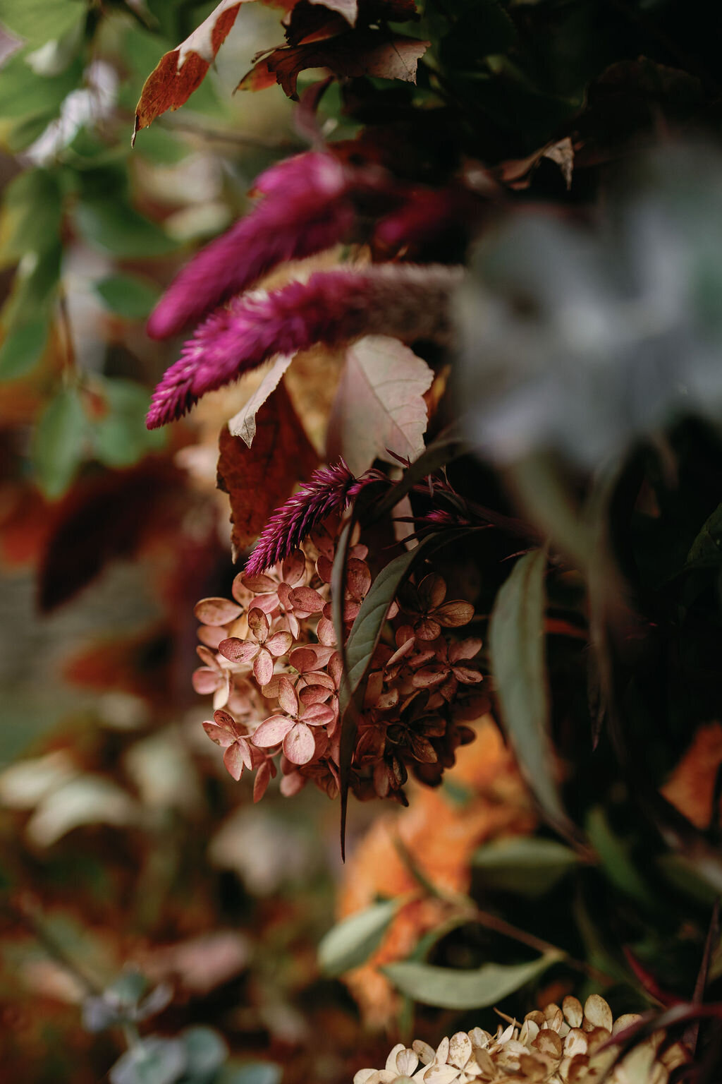 Anna-Wright-Photography-Red-Fox-Inn-Wedding-53