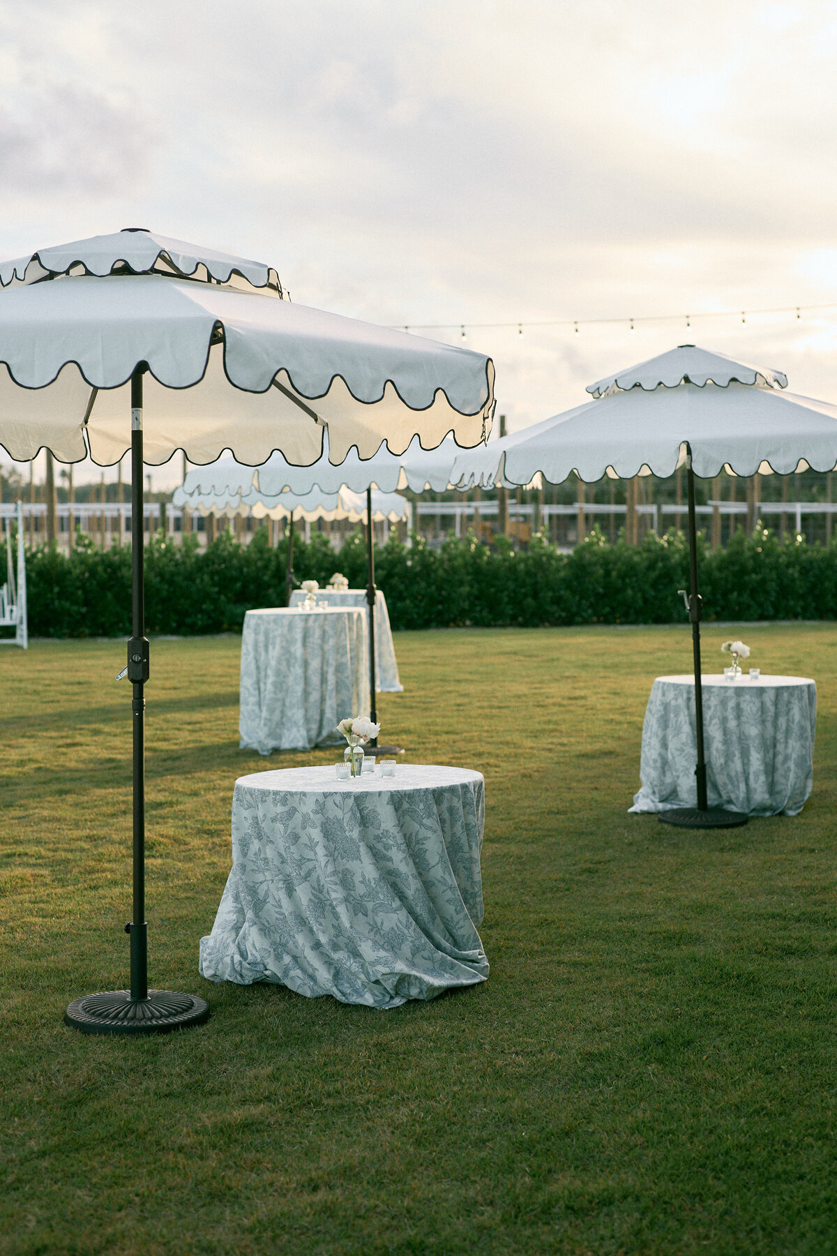 231202CAMEDD_adv0126