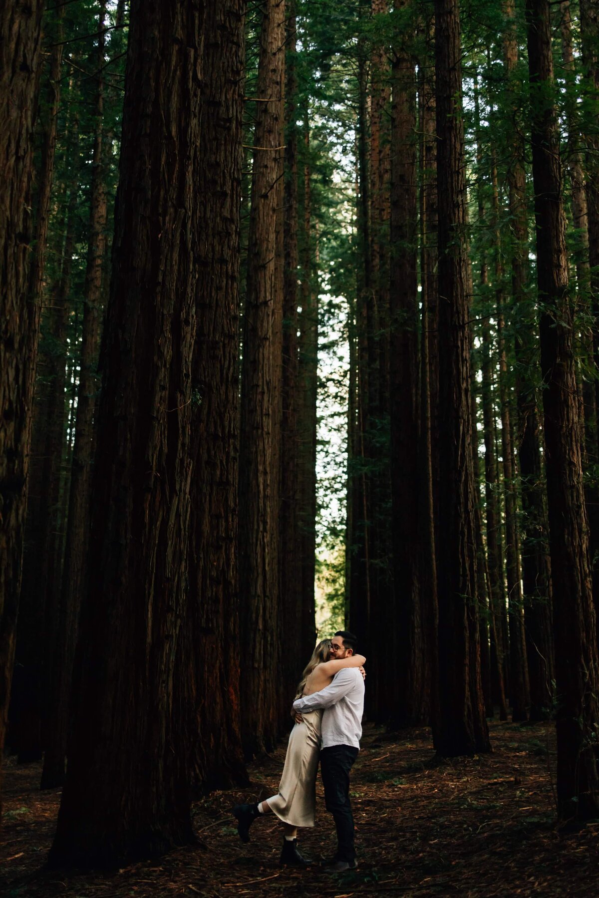 Couple embracing under redwood trees, engagement photoshoot, And So I Don't Forget Photography