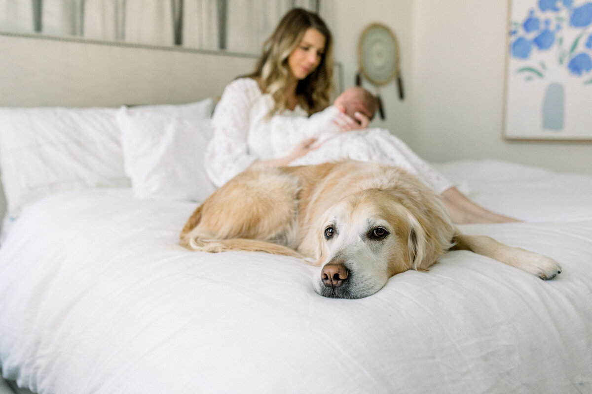 2022-Zoey-mandi-thompson-photography0000001000060
