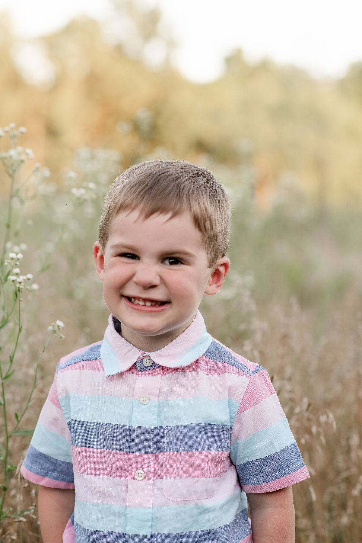 Family portraits of just toddler boy photo by Michelle Lynn Photography located near Louisville, Kentucky