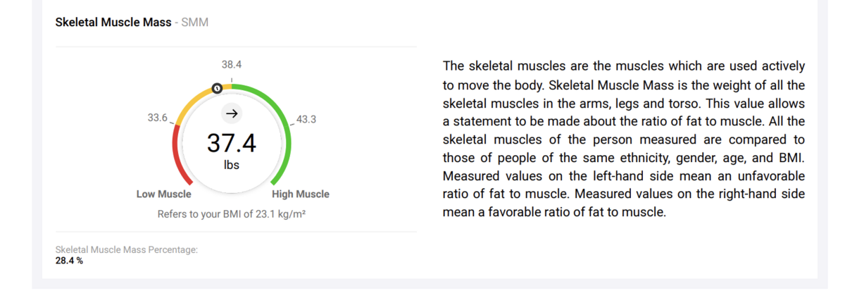 Secca Body Composition Analysis of someone with a normal BMI but not enough muscle mass.