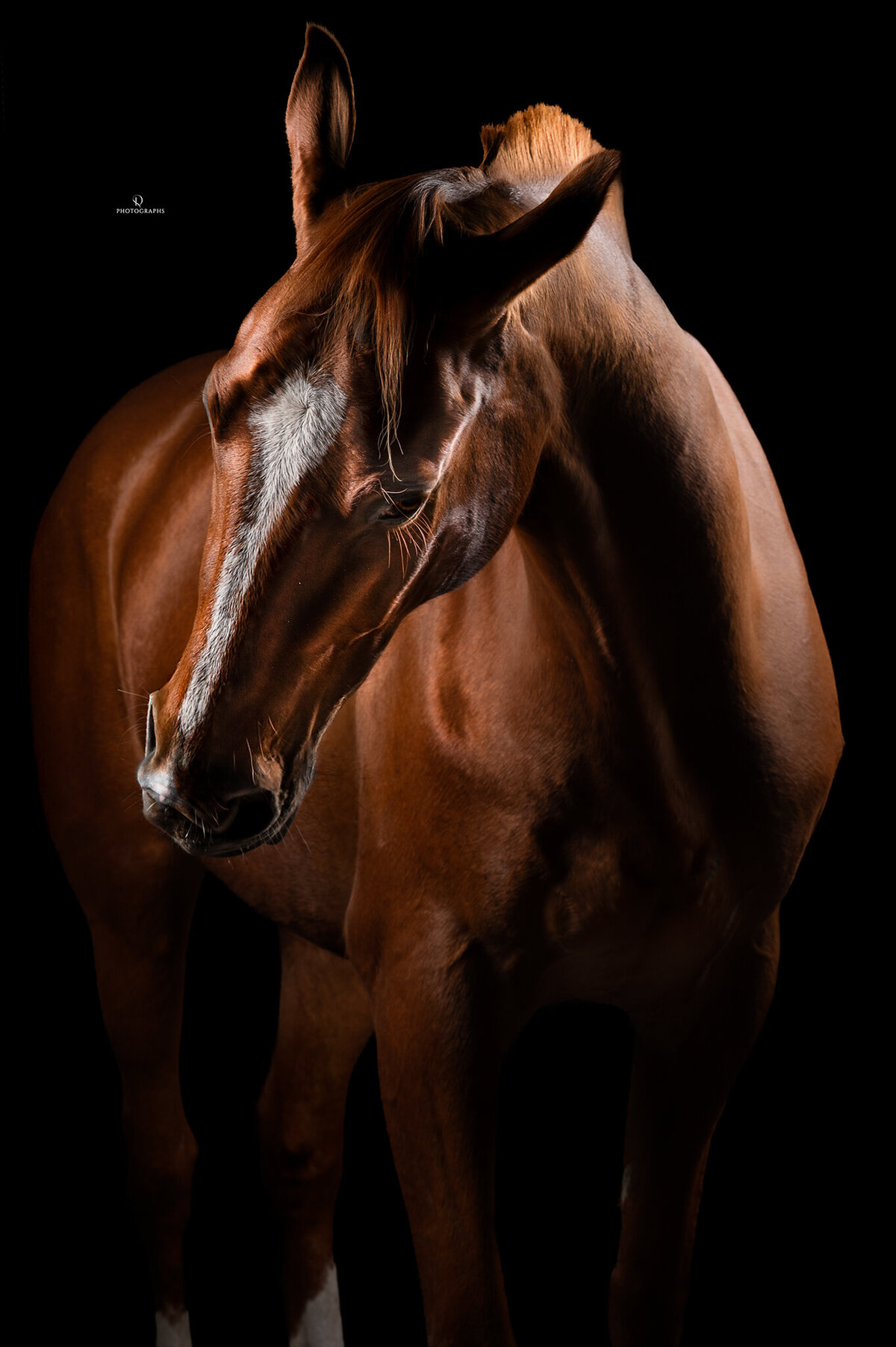 Z62_9494 WEB