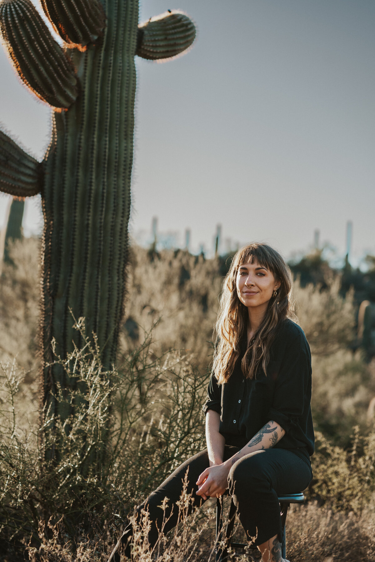 Saguaro Portrait Desert