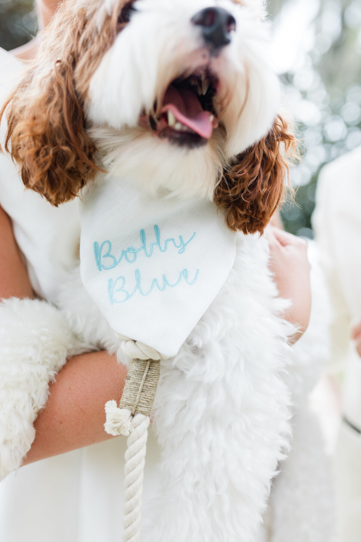 Epping-forest-wedding6A8049