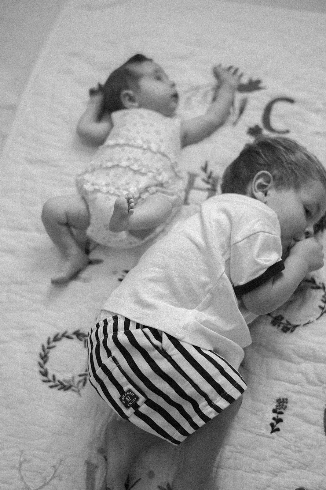 schweber-family-111_websize