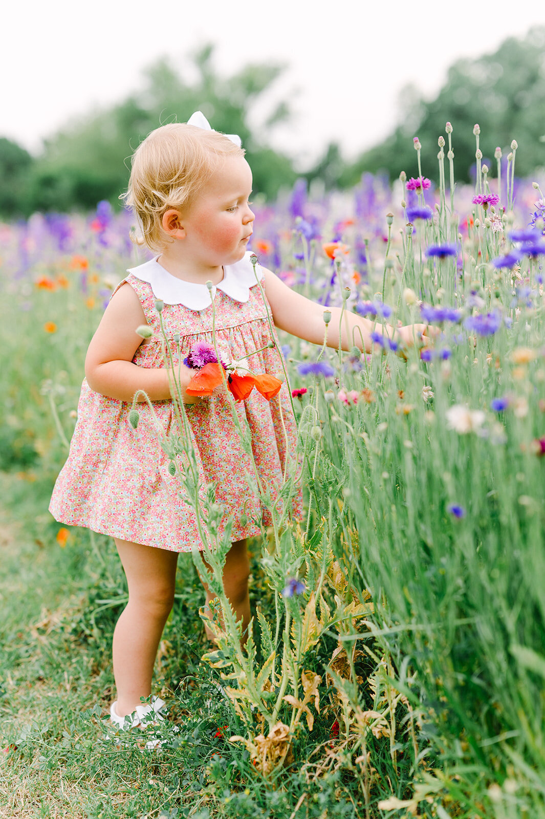 dallas-wildflower-photography-14