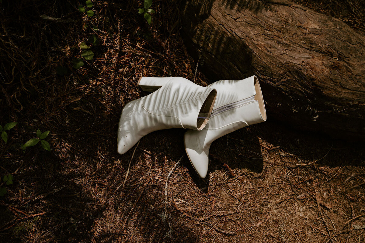 details in the forest