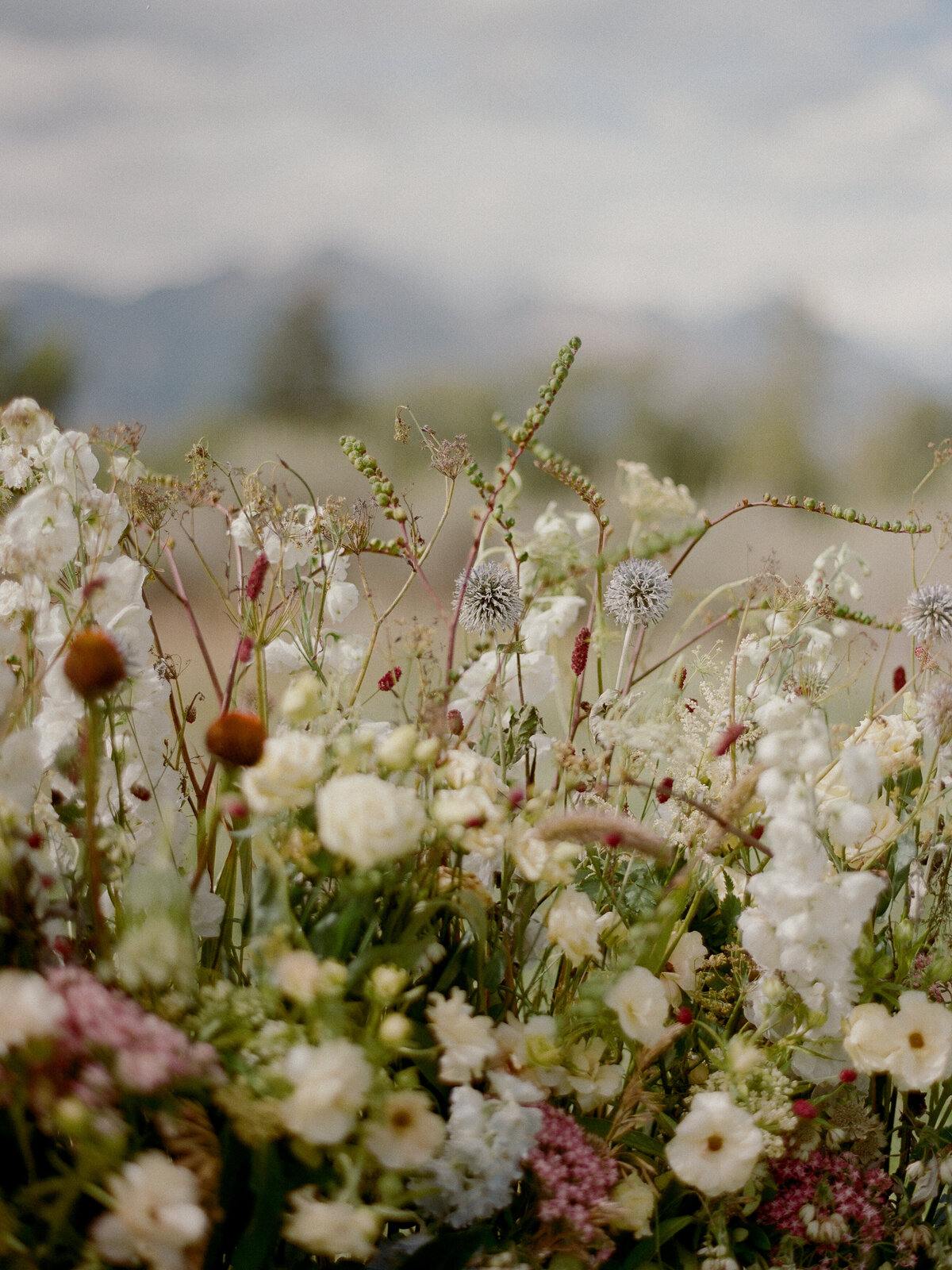 Brady Bates - Jackson Wyoming -25