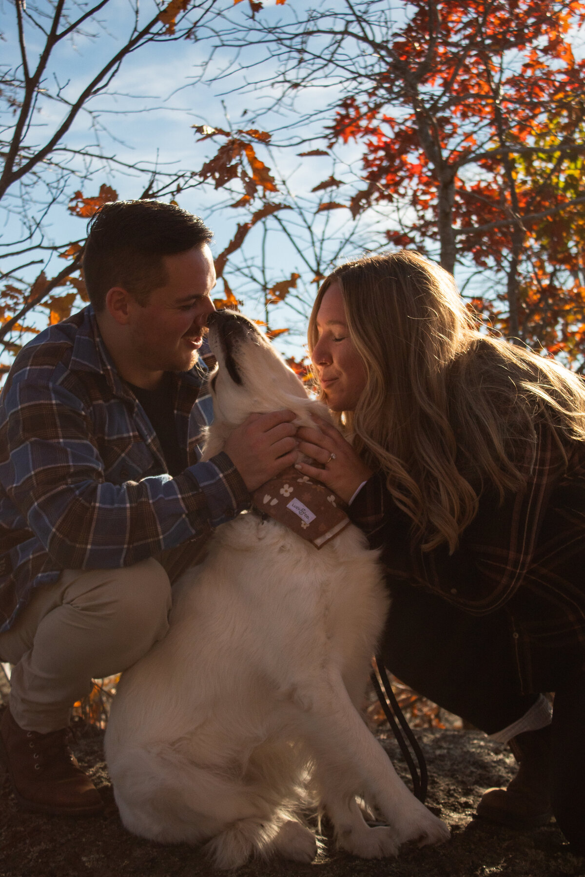 Surprise Engagement in Connecticut
