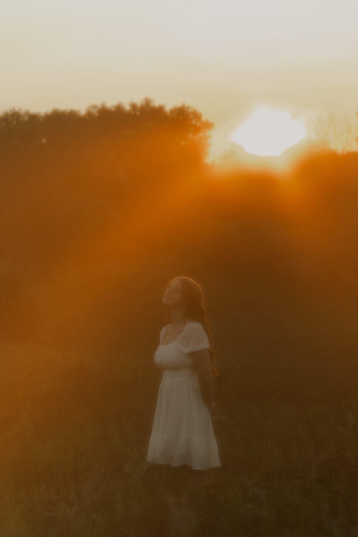 Glowing Golden hour Photo in a field in Duluth, Minnesota