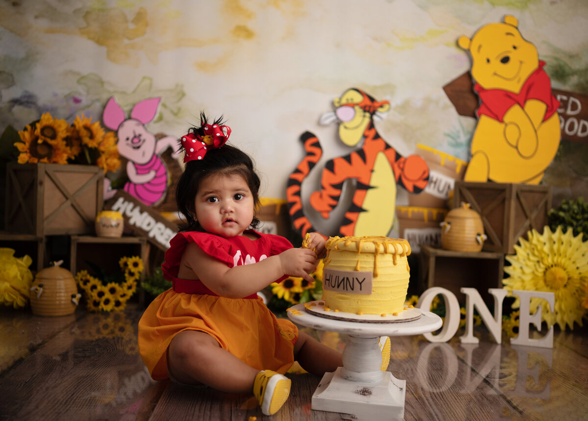 winnie the pooh one year cake smash